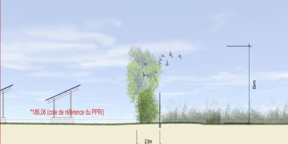 Etude Dimpact Environnemental Dun Projet Photovolta Que Sur La