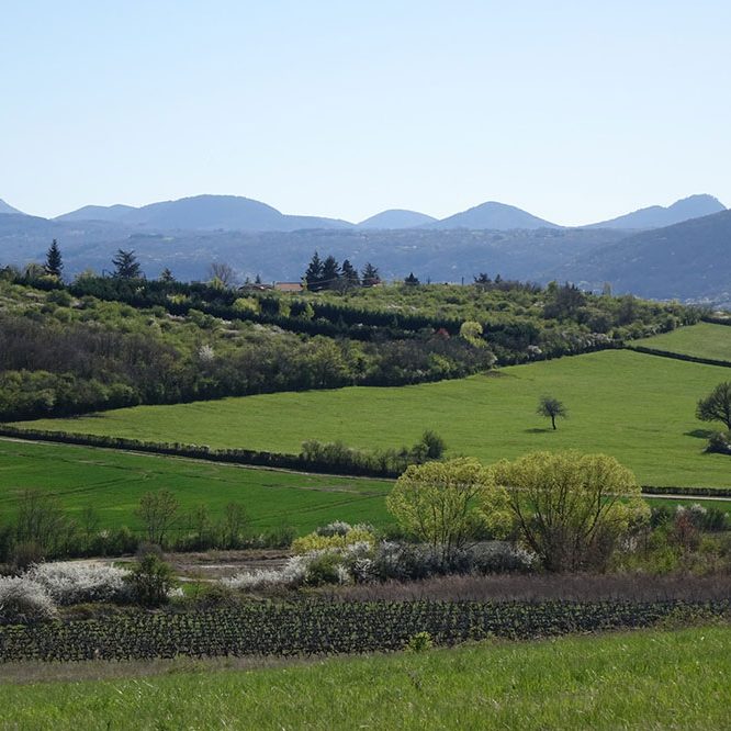 reference PLU RIOM reference PLU RIOM