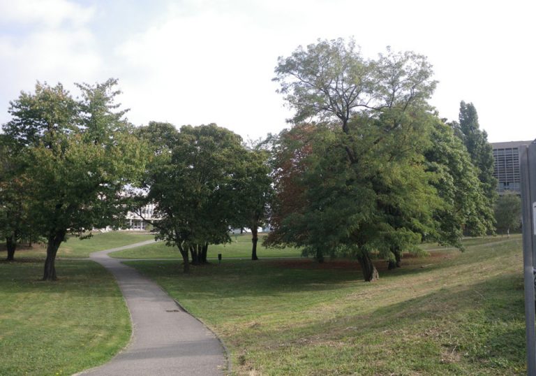 Ecocampus - DOUA Lyon