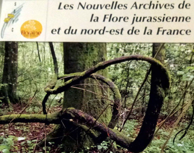 Flore Jurassienne