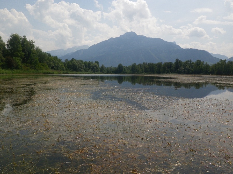 étang Vallée de l’Arve Vallée de l'Arve