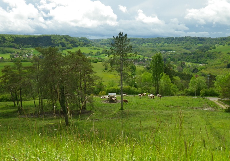 Vallée de la Loue cartographie habitats