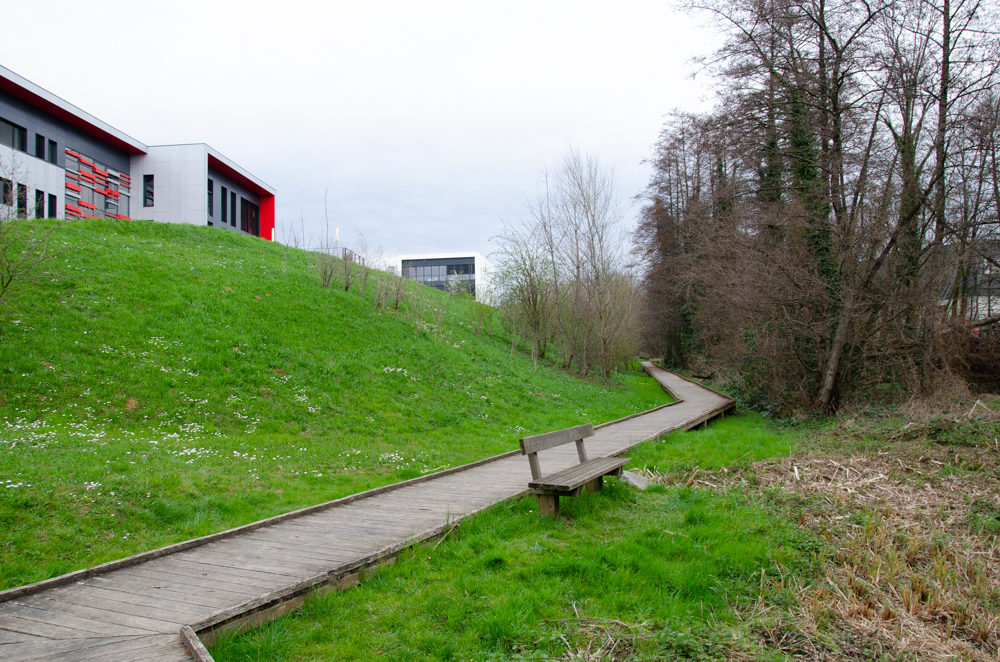 ordonnance 17 juin 2020