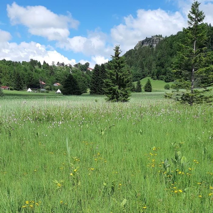20816 _2 1000×700 prairie zones humides haut doubs