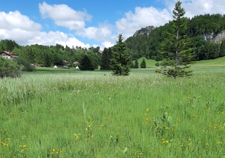 prairie zones humides haut doubs