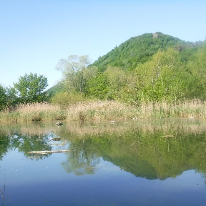 Saut-Mortier