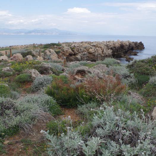 Natura 2000 site Natura2000