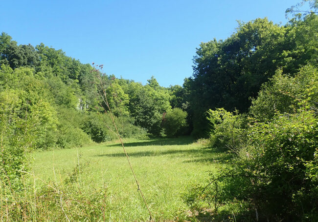 Révision du schéma de cohérence territoriale de l’Angoumois valant plan Climat Air Energie Territorial et élaboration du PLUIi de GrandAngoulême valant Plan de Mobilité