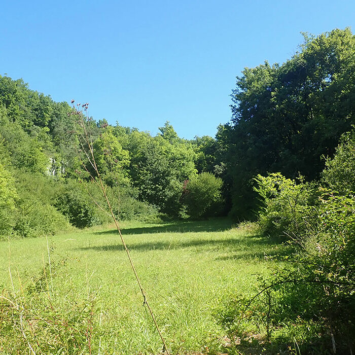 Grand_Angouleme Révision du schéma de cohérence territoriale de l’Angoumois valant plan Climat Air Energie Territorial et élaboration du PLUIi de GrandAngoulême valant Plan de Mobilité