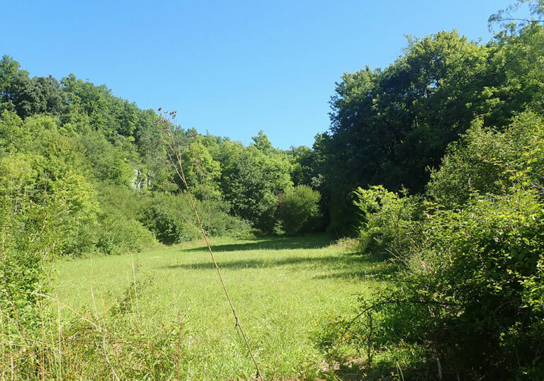 Révision du schéma de cohérence territoriale de l’Angoumois valant plan Climat Air Energie Territorial et élaboration du PLUIi de GrandAngoulême valant Plan de Mobilité