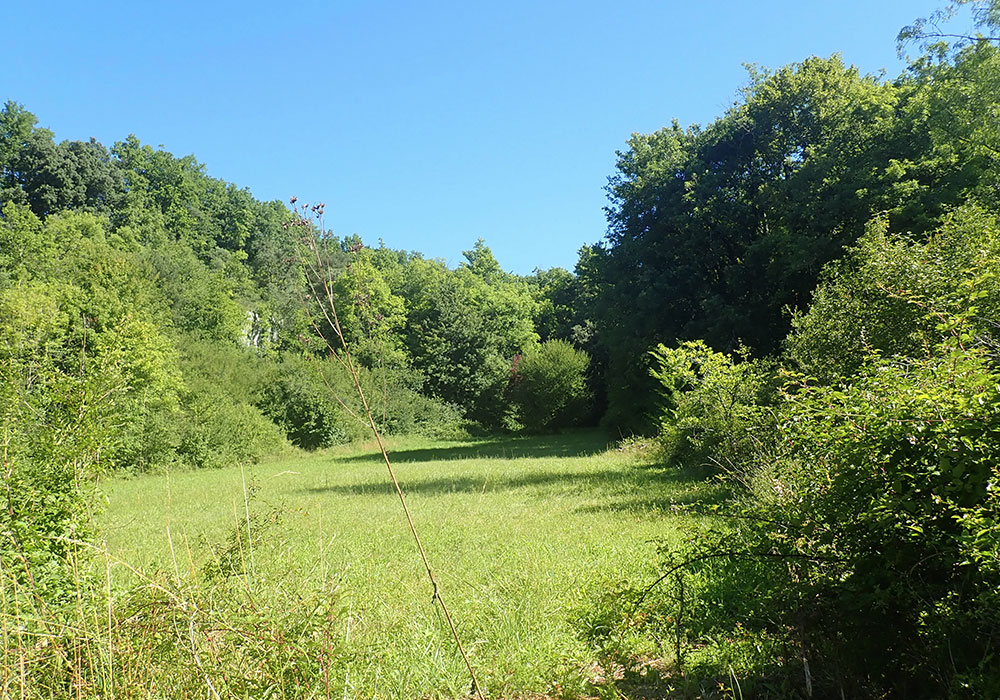 Révision du schéma de cohérence territoriale de l’Angoumois valant plan Climat Air Energie Territorial et élaboration du PLUIi de GrandAngoulême valant Plan de Mobilité
