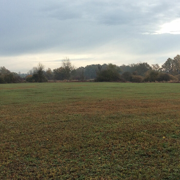 Elaboration du Plan Local d'Urbanisme Intercommunal de Terres de Bresse