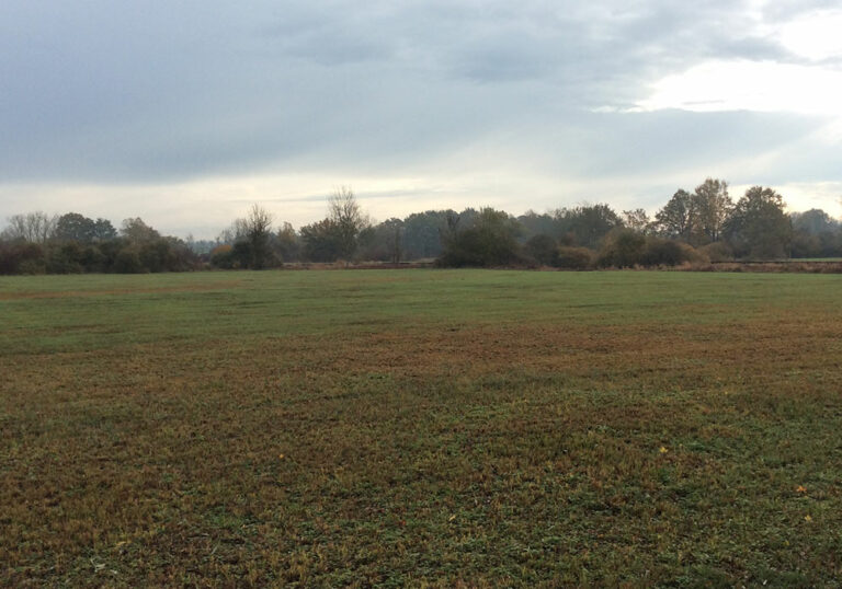 Elaboration du Plan Local d'Urbanisme Intercommunal de Terres de Bresse