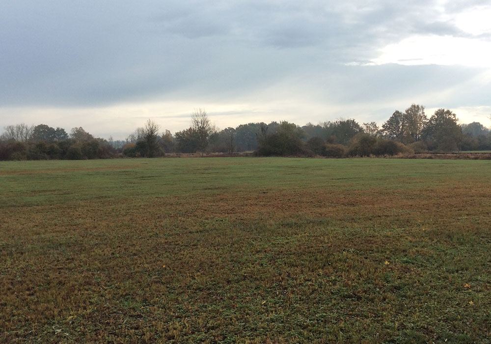 Elaboration du Plan Local d'Urbanisme Intercommunal de Terres de Bresse